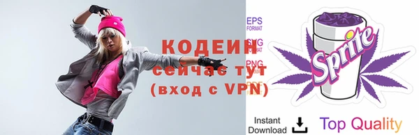 шишки Иннополис