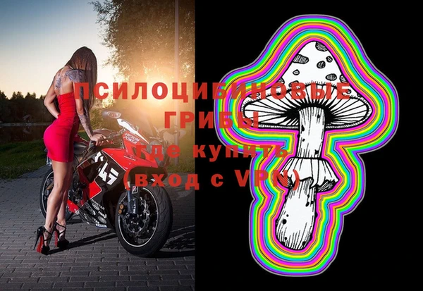 спиды Зеленокумск